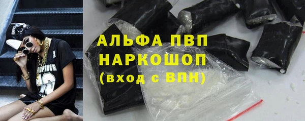 индика Богданович
