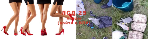 индика Богданович
