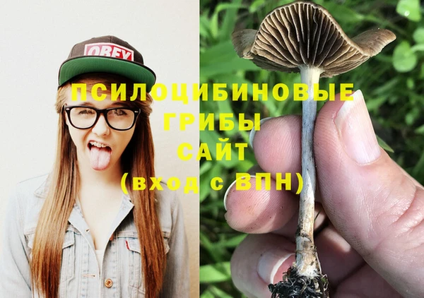 гашиш Богородицк