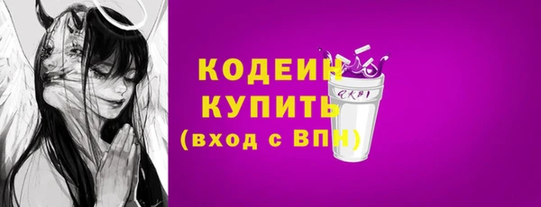 индика Богданович