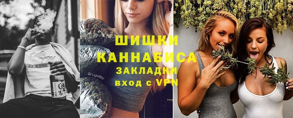 индика Богданович