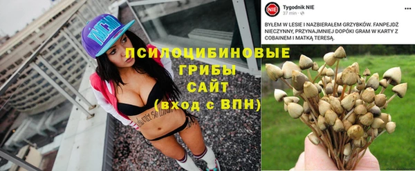 a pvp Богородск
