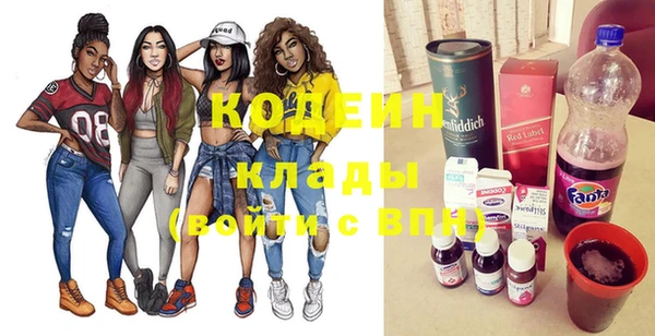 индика Богданович