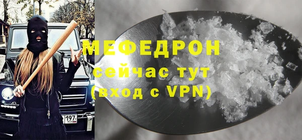 индика Богданович