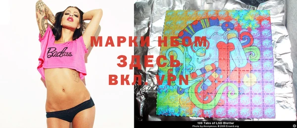 индика Богданович
