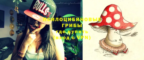 индика Богданович