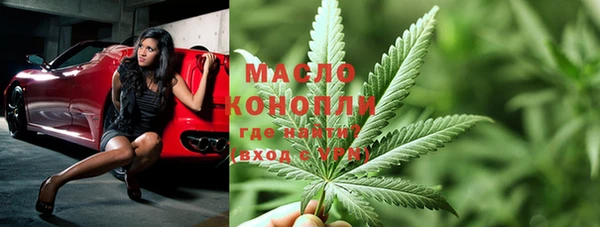 индика Богданович