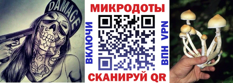 Галлюциногенные грибы мицелий  закладки  Златоуст 